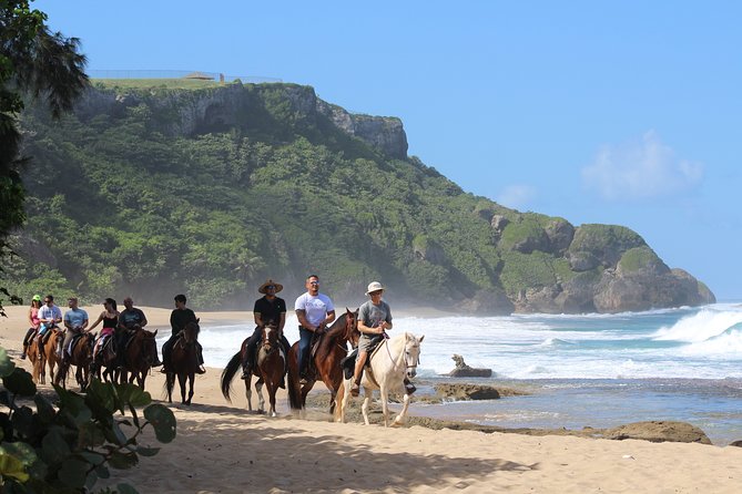 Horseback Riding through Secluded Beaches and Tropical Forests - Shacks Beach: the first coastal payoff