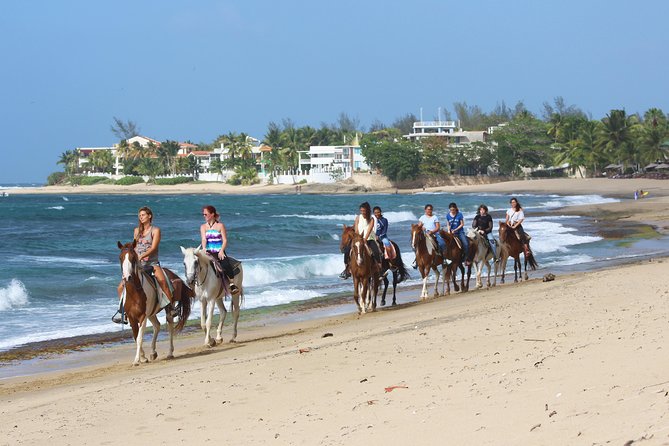 Horseback Riding through Secluded Beaches and Tropical Forests - Survival Beach and the 15-minute pause