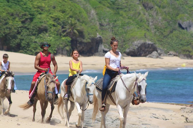 Horseback Riding through Secluded Beaches and Tropical Forests - How much value do you get for $106.95?