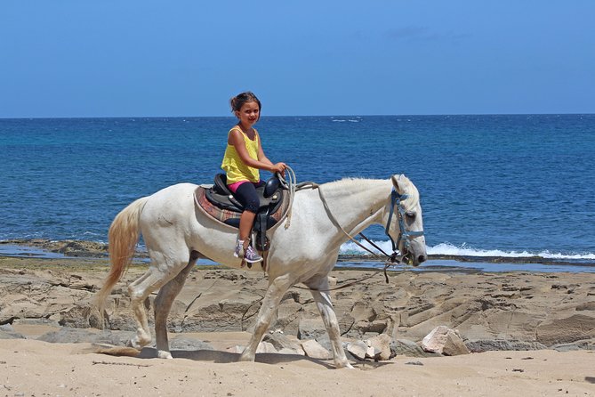 Horseback Riding through Secluded Beaches and Tropical Forests - Choosing the right departure