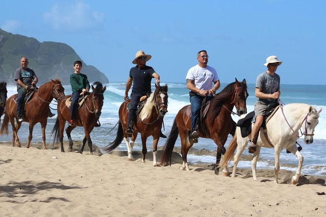 Horseback Riding through Secluded Beaches and Tropical Forests - Who should book this ride?
