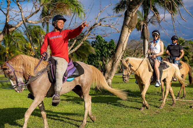 Horseback Riding Tour at Private Ranch - Why this ranch ride works for a San Juan day
