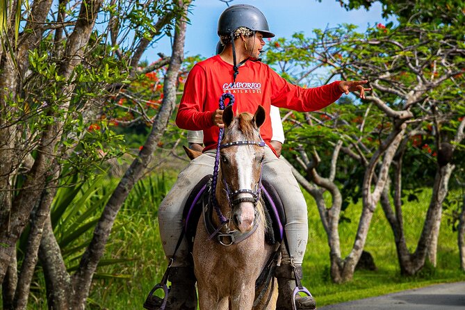 Horseback Riding Tour at Private Ranch - Meeting the guide at the Mojito Bar