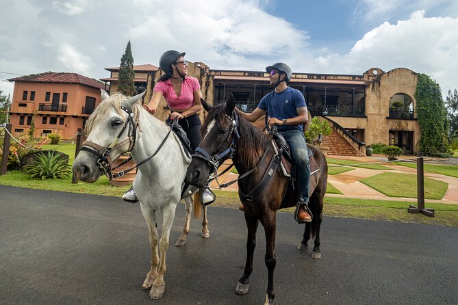Horseback Riding Tour at Private Ranch - Choosing a Paso Fino for your riding level