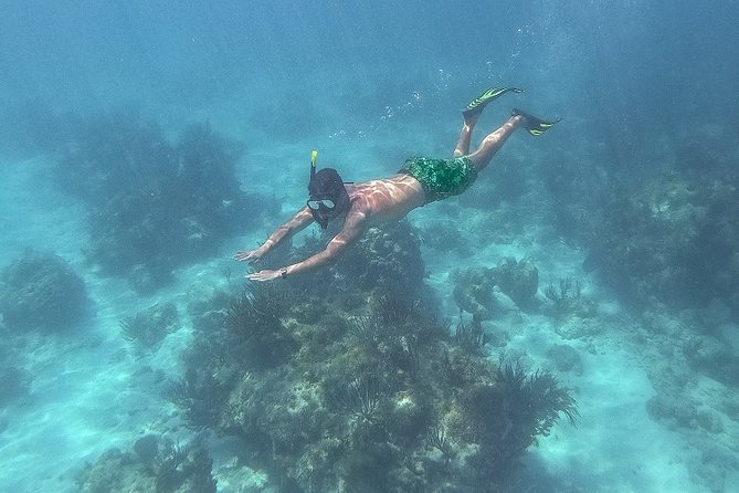 Icacos Deserted Island Catamaran, Snorkel, and Picnic Cruise - Who gets the most from this Icacos cruise