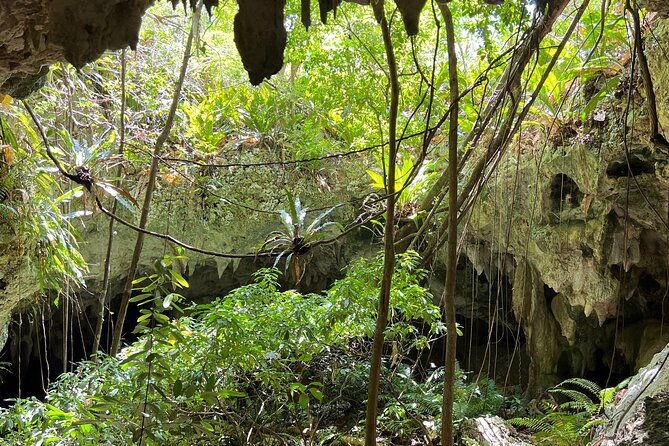 Indian Cave & Water Spring Adventure - Timing, group size, and the $130 cost