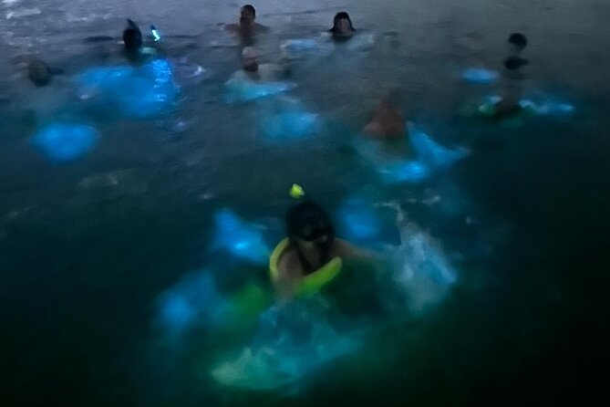 La Parguera Bio Bay Boat Ride and Swimming w/ San Juan Transport - Swimming for about 20 minutes