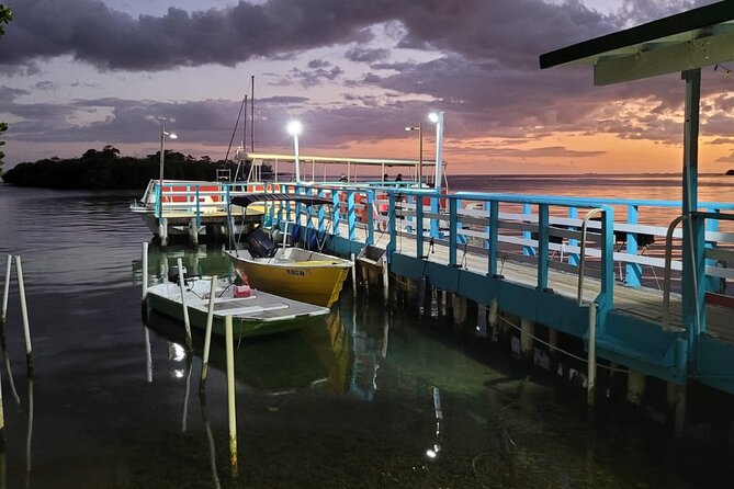 La Parguera Bio Bay Boat Ride and Swimming w/ San Juan Transport - Timing, comfort, and practical limits