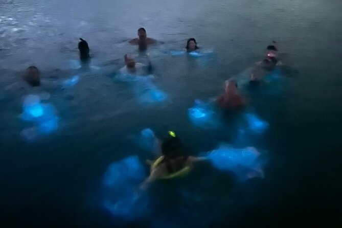 La Parguera Bio Bay Boat Ride and Swimming w/ San Juan Transport - Who will enjoy this experience most
