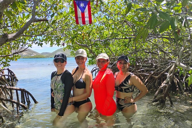 La Parguera Boat Charter with Captain: Kayak & Snorkel - Practical details that affect your day