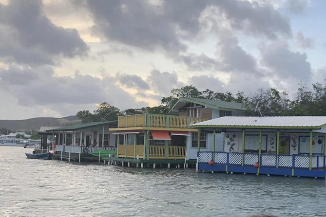 La Parguera Glowing Bioluminescent Bay Boat Tour from San Juan - Is $220 a fair price?