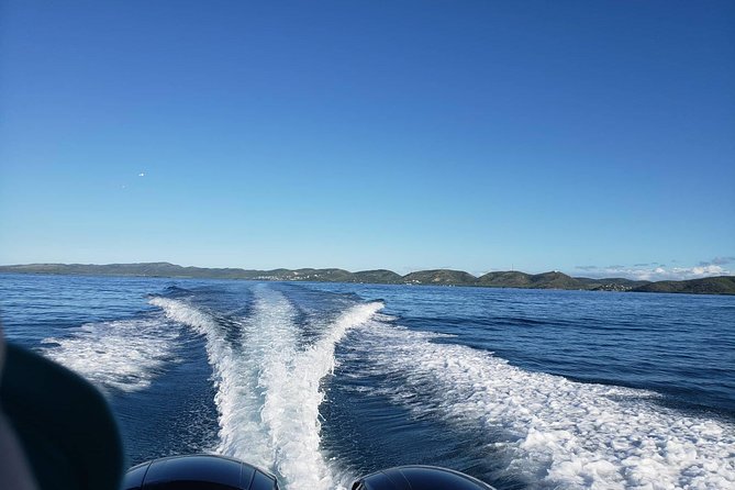 La Parguera Private Boat Charter - Why a Private Boat Works So Well in La Parguera