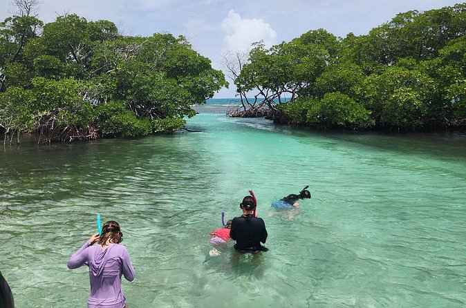 La Parguera Private Boat Charter - Who Will Get the Most From This Charter
