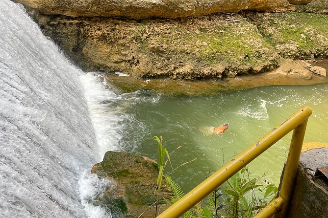 Largest Natural Waterslide, River Hike and Beach Tour in Arecibo - Who will enjoy this tour most