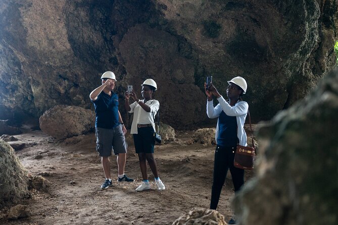 Let me show you MY Island Tour With visit to El Yunque - The guides shape the whole day