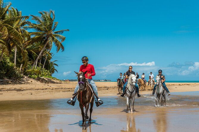Luquillo Beach Horse Ride from Carabalí Rainforest Adventure Park - Key Things to Know Before You Ride