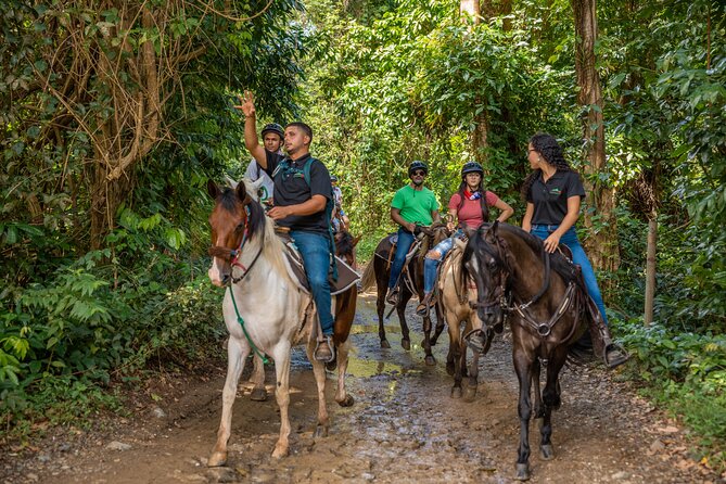 Luquillo Beach Horse Ride from Carabalí Rainforest Adventure Park - From Carabalí Park to the Foothills of El Yunque