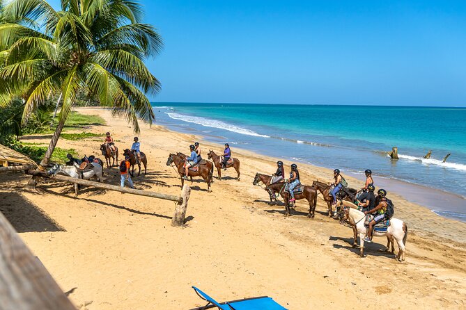 Luquillo Beach Horse Ride from Carabalí Rainforest Adventure Park - Along the Mameyes River