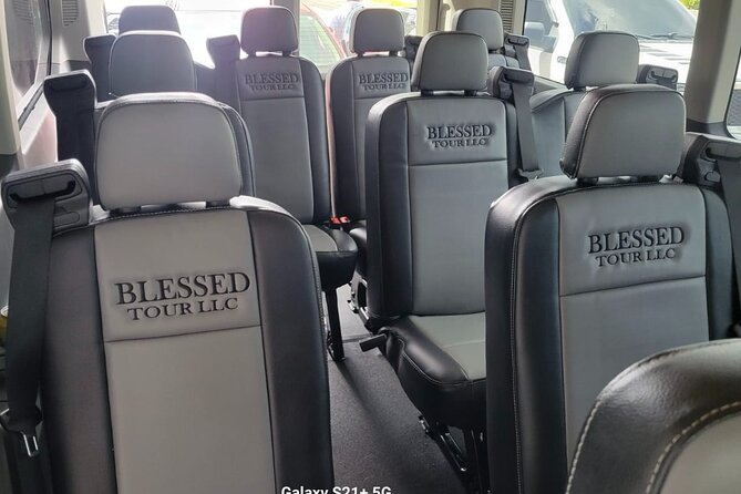 Luxury Private Car SJU Arrival or Departure Airport Pickup - What happens at Luis Muñoz Marín International Airport