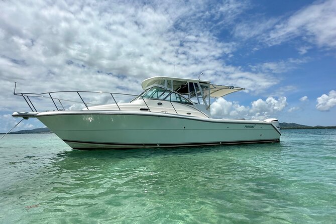 Luxury Private Tour to Fajardo Keys—Snorkeling & Island Adventure - Who will enjoy this most