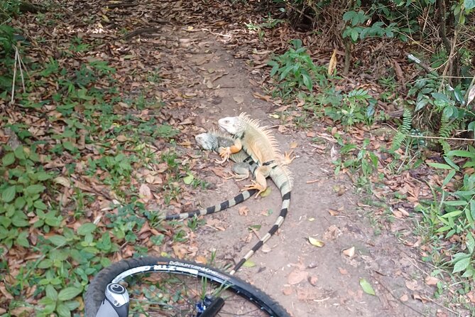 Mountain Bike tour to a Pristine Spring and Cave - Swimming in the spring and exploring the cave