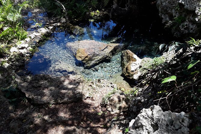 Mountain Bike tour to a Pristine Spring and Cave - Timing, transport, and cancellation details
