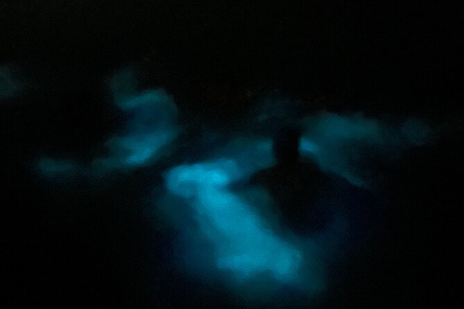 Mystic Waters A Bioluminescent Night Tour - Key points to know before booking