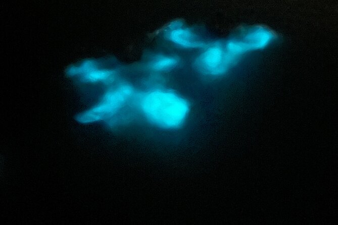 Mystic Waters A Bioluminescent Night Tour - Seeing Puerto Rico’s glow from La Parguera