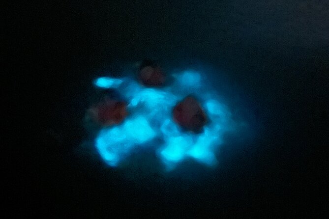 Mystic Waters A Bioluminescent Night Tour - The two-hour trip from San Juan