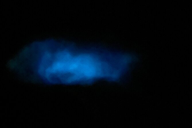 Mystic Waters A Bioluminescent Night Tour - Who will enjoy this most?