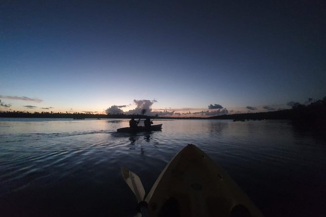 Night Kayaking Experience on Bioluminescent Lagoon in Fajardo - Key points to know before you book