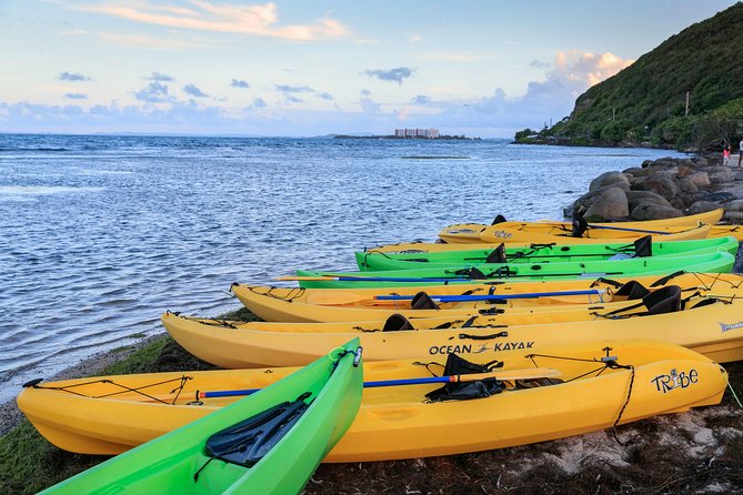 Night Kayaking Experience on Bioluminescent Lagoon in Fajardo - From the 6:00 pm meeting point to the water