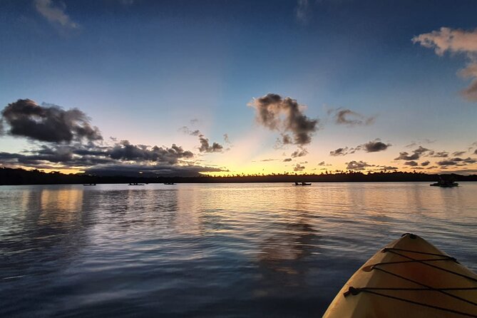 Night Kayaking Experience on Bioluminescent Lagoon in Fajardo - When the water begins to sparkle