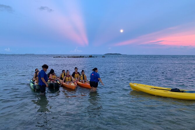 Night Kayaking Experience on Bioluminescent Lagoon in Fajardo - What the guides add to the night