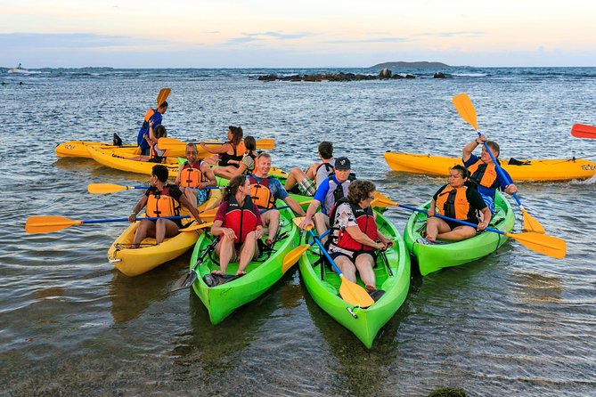 Night Kayaking Experience on Bioluminescent Lagoon in Fajardo - Accessibility and physical requirements
