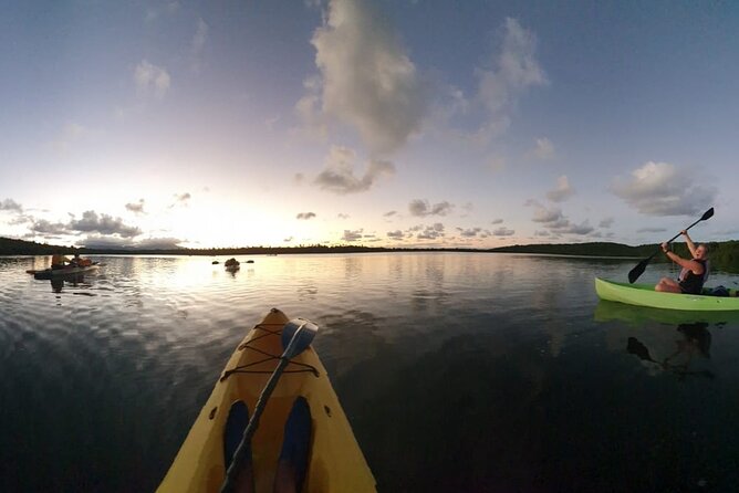 Night Kayaking Experience on Bioluminescent Lagoon in Fajardo - Is $79 a fair price?
