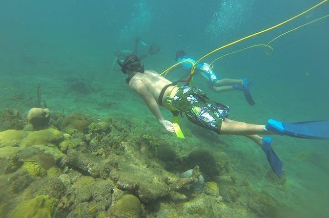 OCTOPUS DIVING (hookah diving) NO Experience Needed - What hookah breathing feels like at Steps Beach