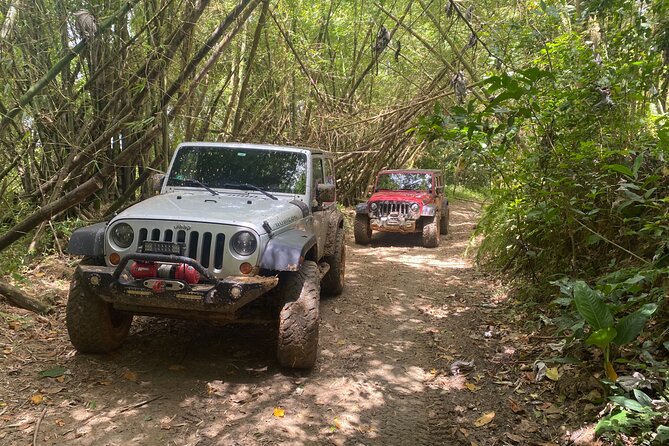 Off-Road Jeep Adventure from Carolina - Why this Jeep trip feels different from a standard rainforest tour