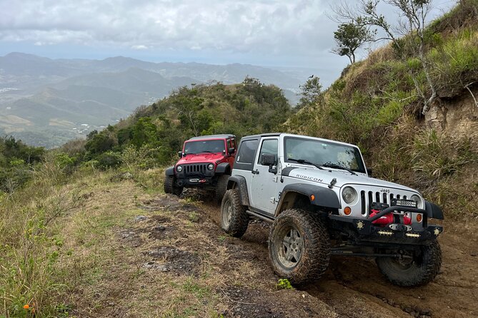 Off-Road Jeep Adventure from Carolina - Bakery snacks, drinks, and a Puerto Rican lunch stop