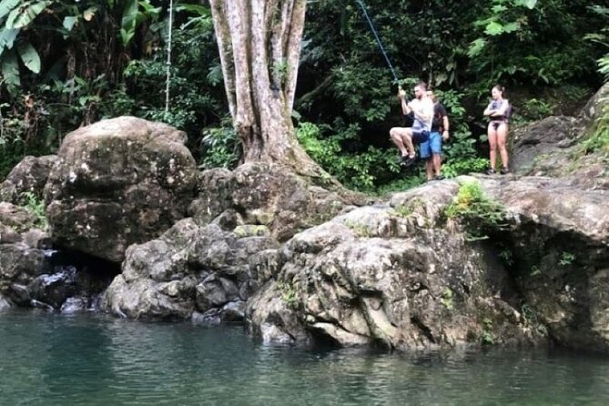 "Off the beaten path" Rain Forest Guided hike with Transportation - Why this El Yunque hike feels different