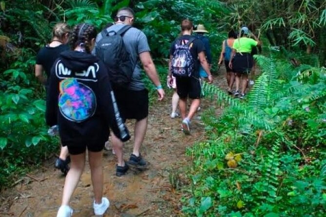 "Off the beaten path" Rain Forest Guided hike with Transportation - The waterfall pool and time in the water