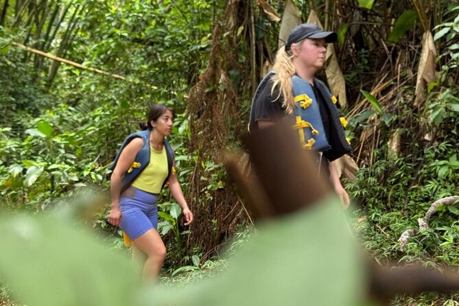 "Off the beaten path" Rain Forest Guided hike with Transportation - What to wear and pack for six hours