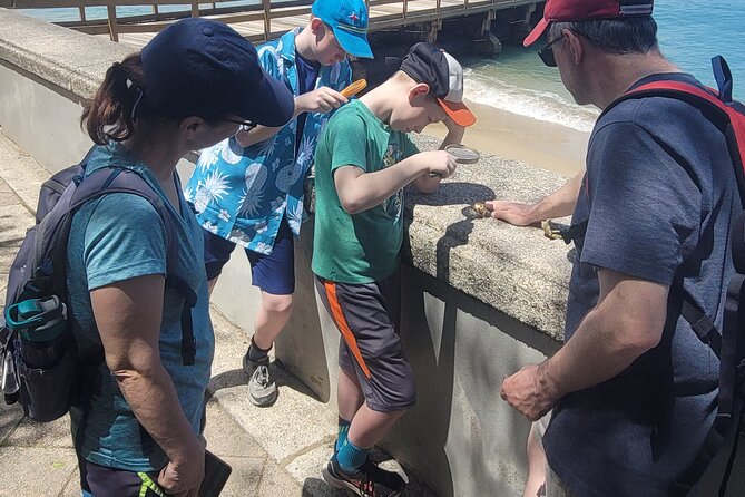 Old San Juan Family Fun Tour: Science/History/ Yummy treats - Plaza de Armas and a Puerto Rican food break