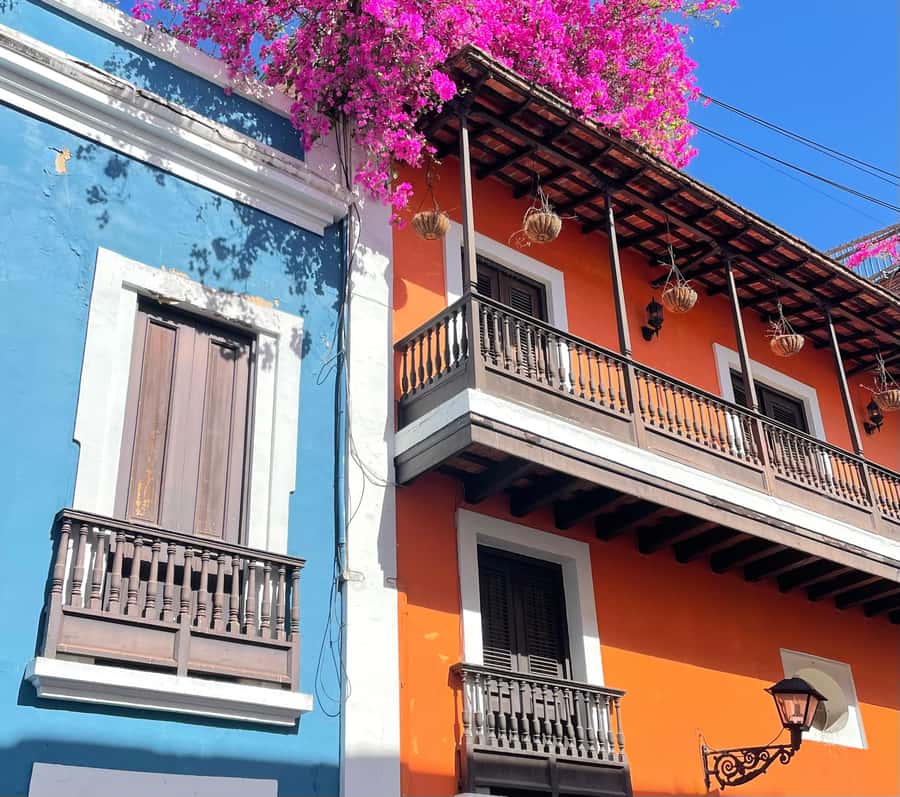 Old San Juan: San Cristobal Castle and Old Town Walking Tour - Who should book this walk?