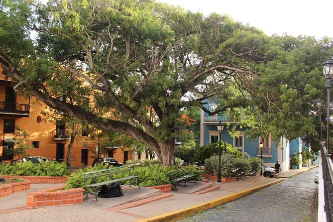 Old San Juan Walking Day and Night Tours - What the guide adds to the stone streets