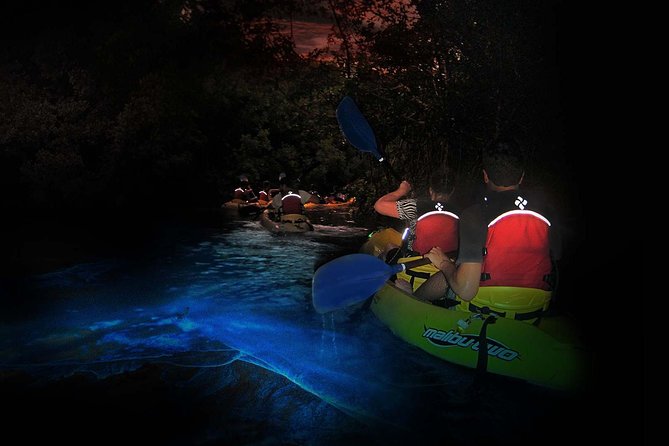 Overnight Bio Bay Kayak Tour in Vieques Island - Meeting at Trade Winds in Esperanza