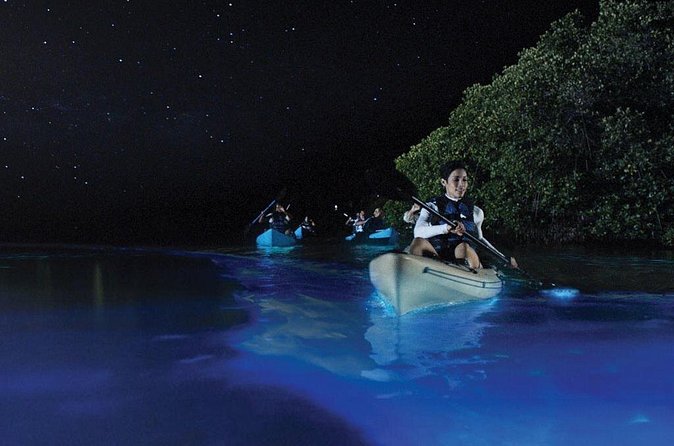 Overnight Bio Bay Kayak Tour in Vieques Island - A sunset beach stop before the glow appears