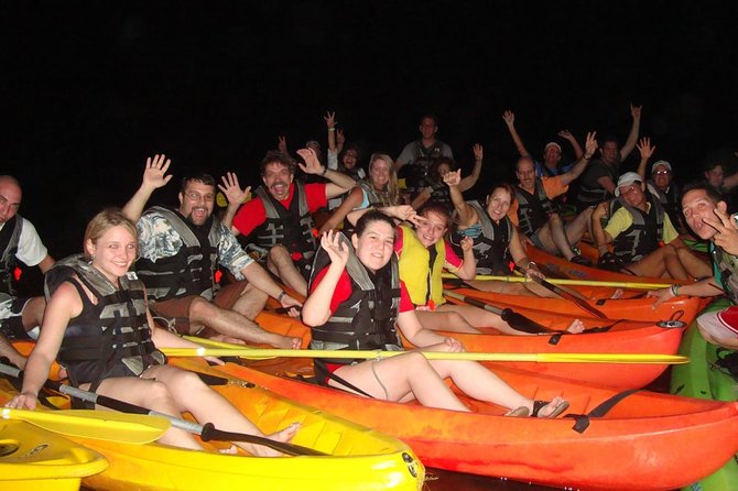Overnight Bio Bay Kayak Tour in Vieques Island - Picking the right night for brighter bioluminescence