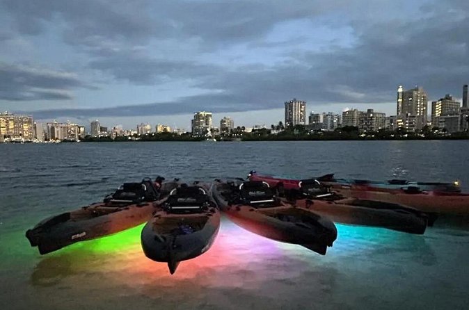 Paddle & Glow LED Kayaking - The Loiza connection: art, food, and Afro-Boricua culture