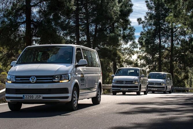 Panorama VIP Tour in Gran Canaria - Tejeda reaches the high point of the route